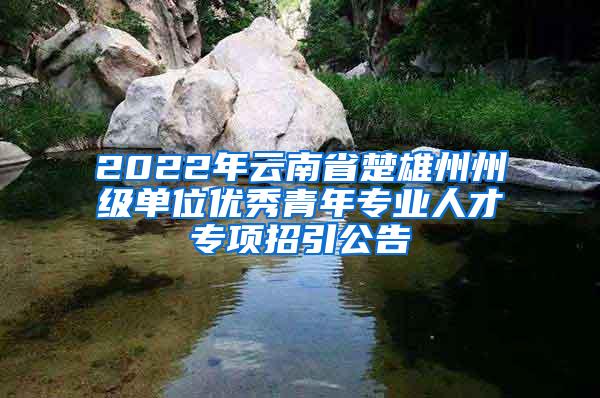 2022年云南省楚雄州州级单位优秀青年专业人才专项招引公告