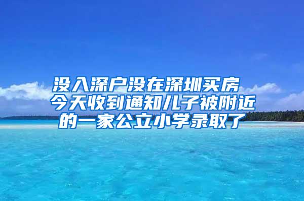 没入深户没在深圳买房 今天收到通知儿子被附近的一家公立小学录取了