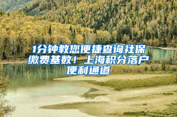 1分钟教您便捷查询社保缴费基数！上海积分落户便利通道