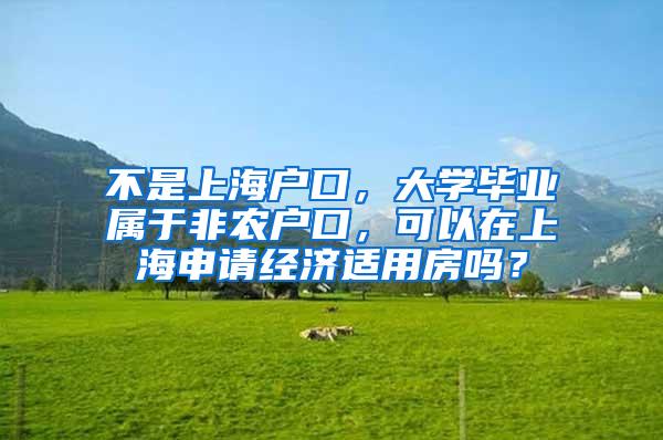 不是上海户口，大学毕业属于非农户口，可以在上海申请经济适用房吗？