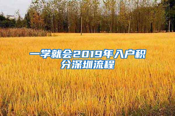 一学就会2019年入户积分深圳流程