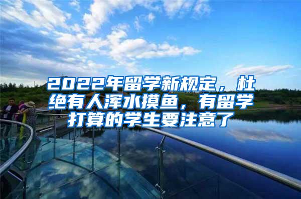 2022年留学新规定，杜绝有人浑水摸鱼，有留学打算的学生要注意了