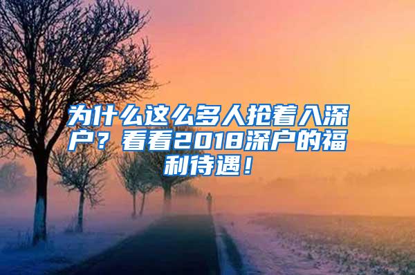 为什么这么多人抢着入深户？看看2018深户的福利待遇！