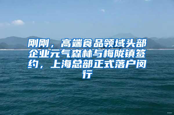刚刚，高端食品领域头部企业元气森林与梅陇镇签约，上海总部正式落户闵行
