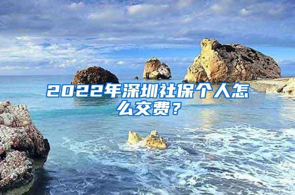 2022年深圳社保个人怎么交费？