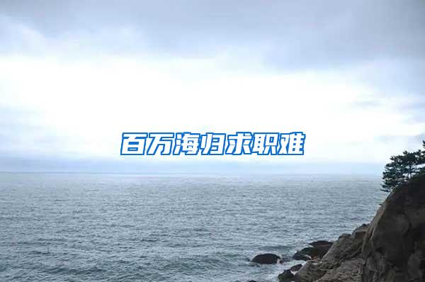 百万海归求职难