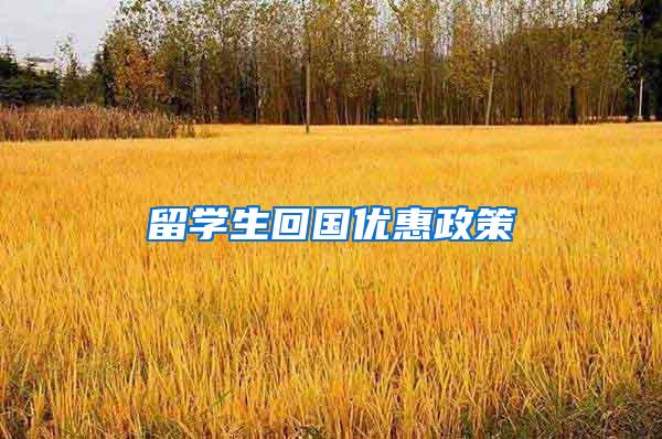 留学生回国优惠政策
