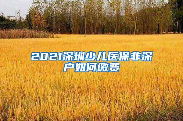 2021深圳少儿医保非深户如何缴费