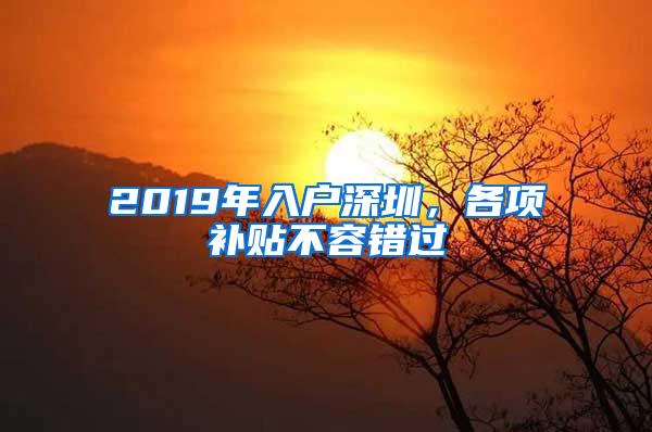 2019年入户深圳，各项补贴不容错过