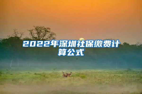 2022年深圳社保缴费计算公式