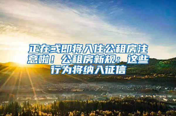 正在或即将入住公租房注意啦！公租房新规：这些行为将纳入征信