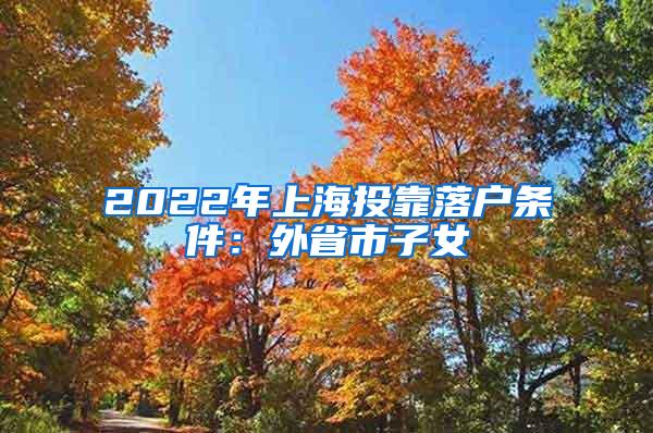 2022年上海投靠落户条件：外省市子女