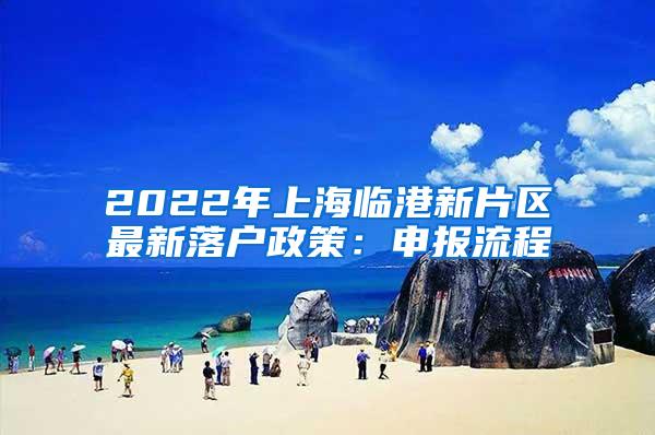 2022年上海临港新片区最新落户政策：申报流程