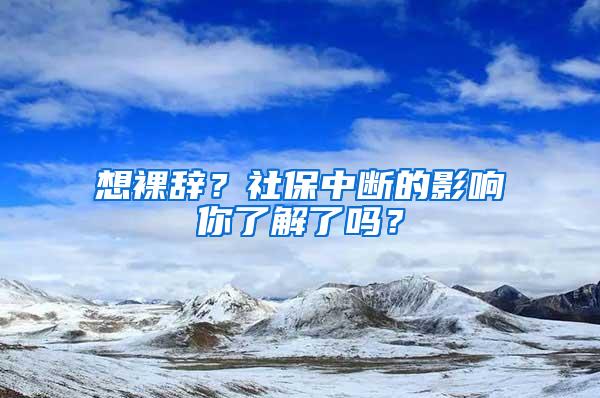 想裸辞？社保中断的影响你了解了吗？