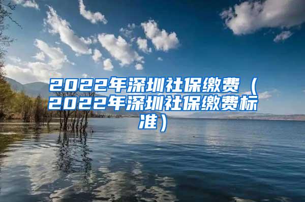 2022年深圳社保缴费（2022年深圳社保缴费标准）