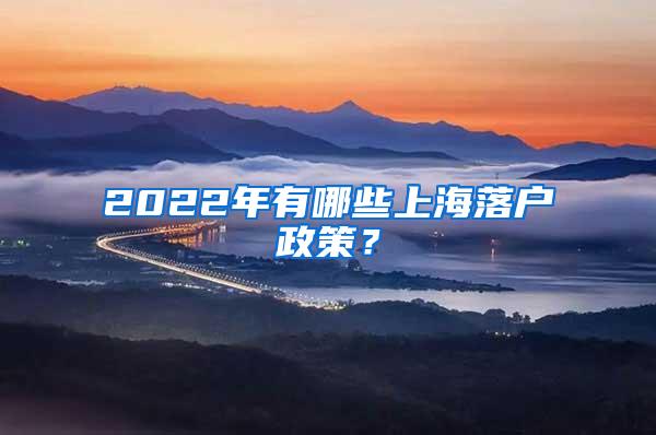 2022年有哪些上海落户政策？