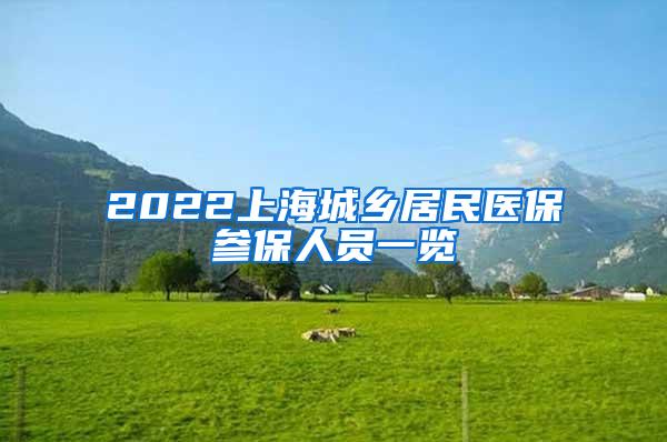 2022上海城乡居民医保参保人员一览