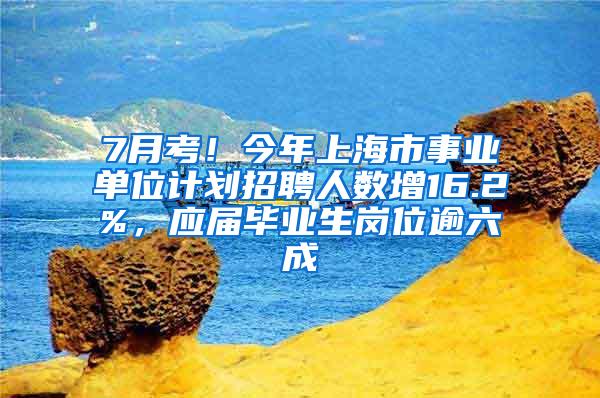 7月考！今年上海市事业单位计划招聘人数增16.2%，应届毕业生岗位逾六成