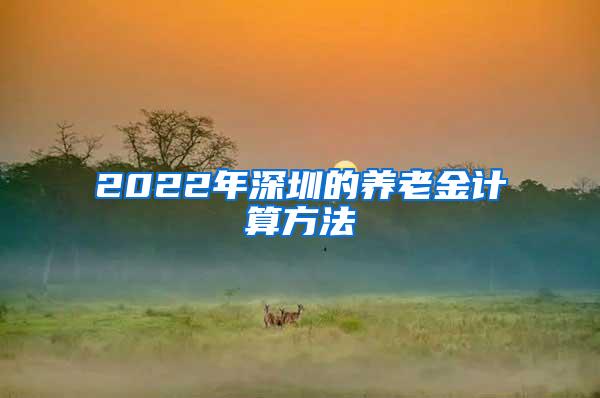 2022年深圳的养老金计算方法