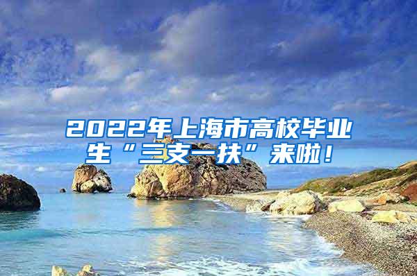 2022年上海市高校毕业生“三支一扶”来啦！