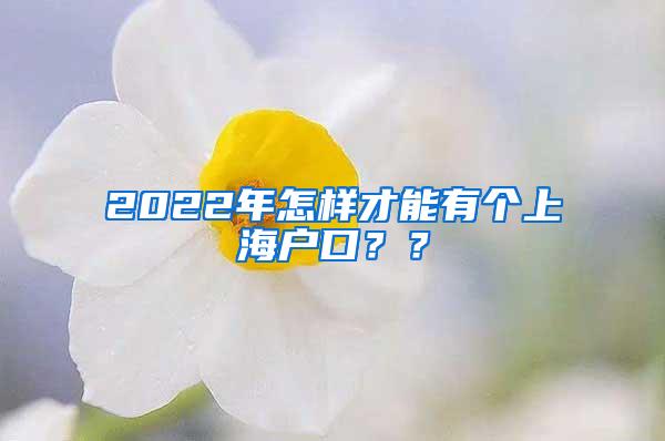 2022年怎样才能有个上海户口？？