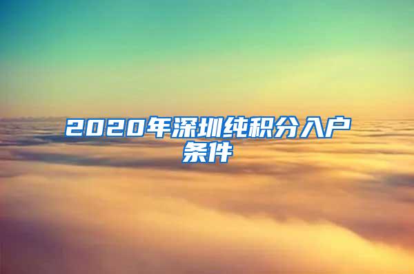 2020年深圳纯积分入户条件