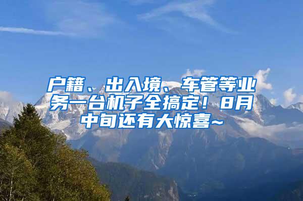 户籍、出入境、车管等业务一台机子全搞定！8月中旬还有大惊喜~