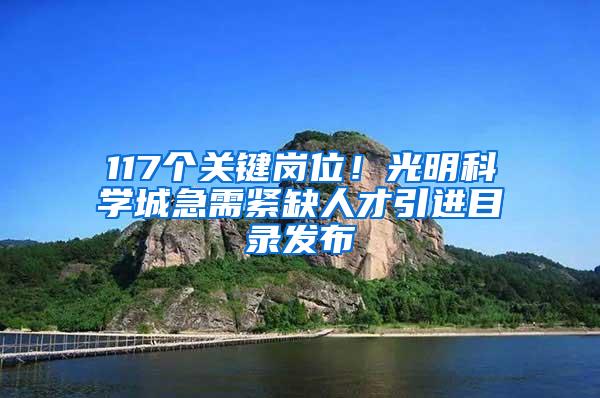 117个关键岗位！光明科学城急需紧缺人才引进目录发布