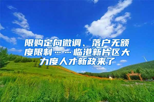 限购定向微调、落户无额度限制……临港新片区大力度人才新政来了