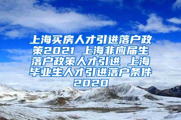 上海买房人才引进落户政策2021 上海非应届生落户政策人才引进 上海毕业生人才引进落户条件2020