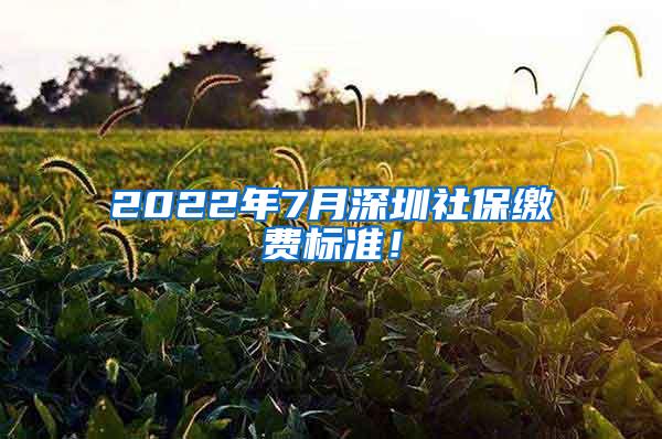 2022年7月深圳社保缴费标准！