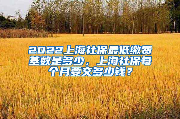 2022上海社保最低缴费基数是多少，上海社保每个月要交多少钱？