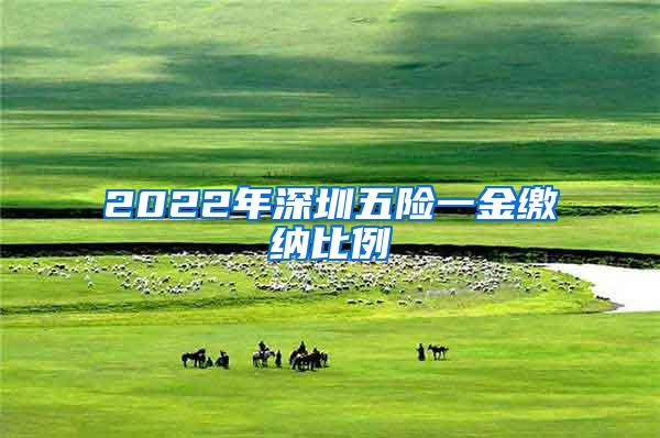 2022年深圳五险一金缴纳比例