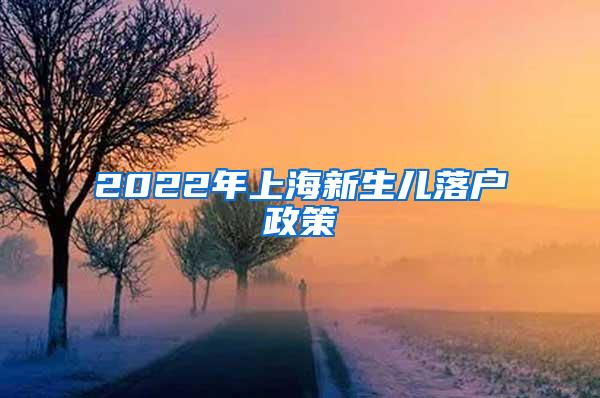 2022年上海新生儿落户政策