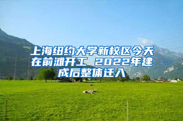 上海纽约大学新校区今天在前滩开工 2022年建成后整体迁入