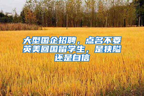 大型国企招聘，点名不要英美回国留学生，是狭隘还是自信