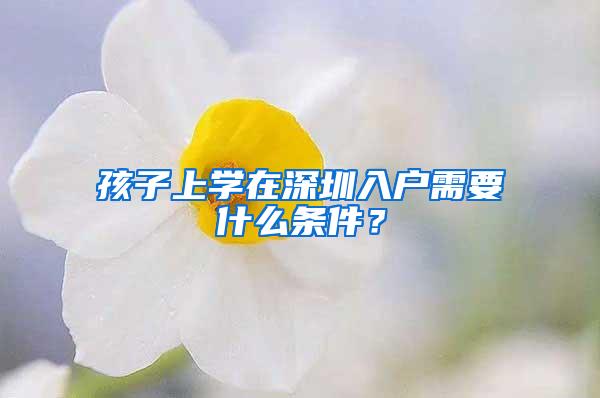 孩子上学在深圳入户需要什么条件？