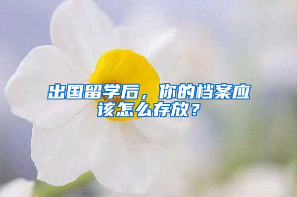 出国留学后，你的档案应该怎么存放？