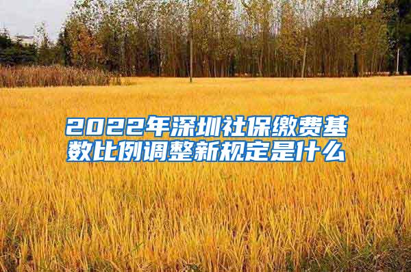 2022年深圳社保缴费基数比例调整新规定是什么