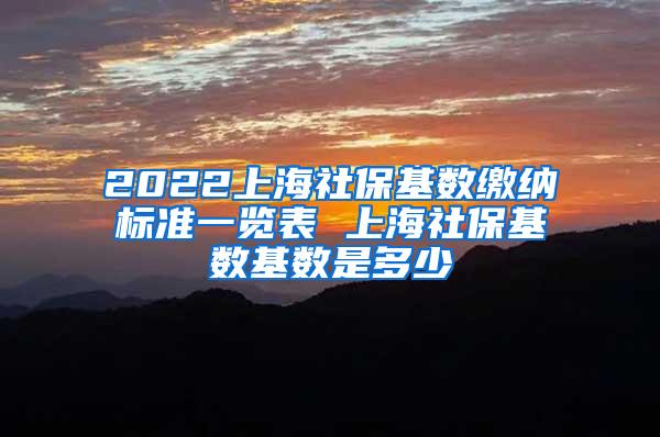 2022上海社保基数缴纳标准一览表 上海社保基数基数是多少