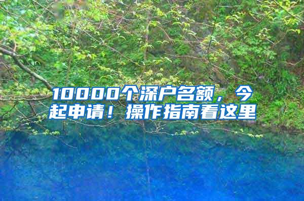 10000个深户名额，今起申请！操作指南看这里