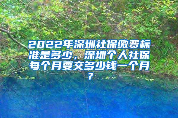 2022年深圳社保缴费标准是多少，深圳个人社保每个月要交多少钱一个月？