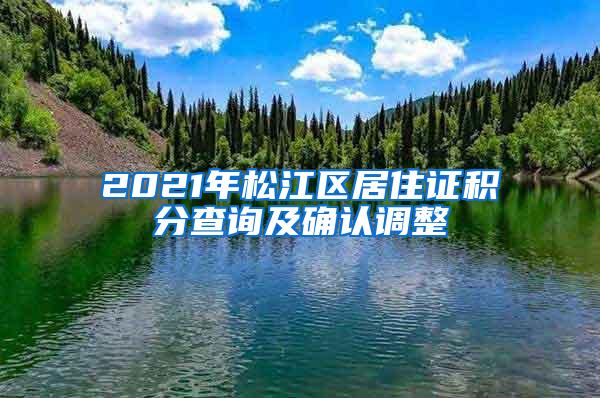 2021年松江区居住证积分查询及确认调整