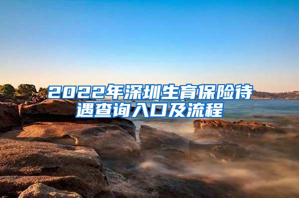 2022年深圳生育保险待遇查询入口及流程