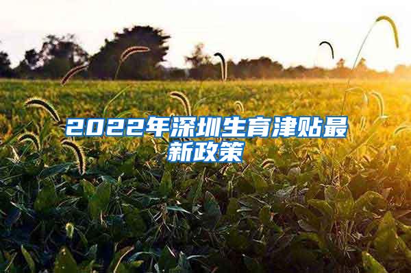 2022年深圳生育津贴最新政策