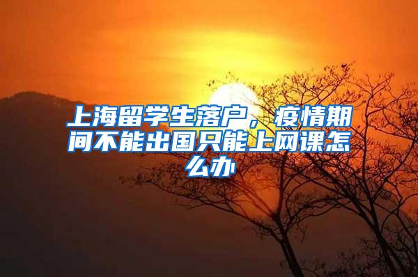 上海留学生落户，疫情期间不能出国只能上网课怎么办