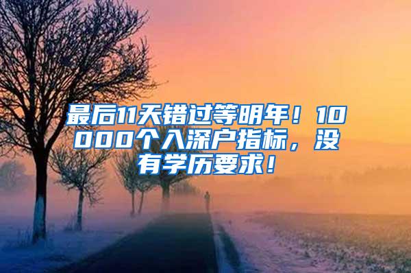 最后11天错过等明年！10000个入深户指标，没有学历要求！