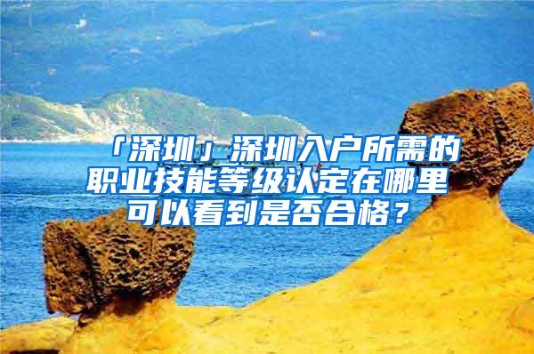 「深圳」深圳入户所需的职业技能等级认定在哪里可以看到是否合格？