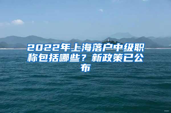 2022年上海落户中级职称包括哪些？新政策已公布