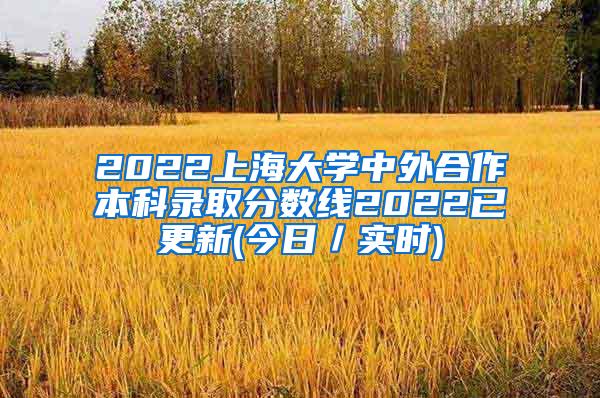 2022上海大学中外合作本科录取分数线2022已更新(今日／实时)